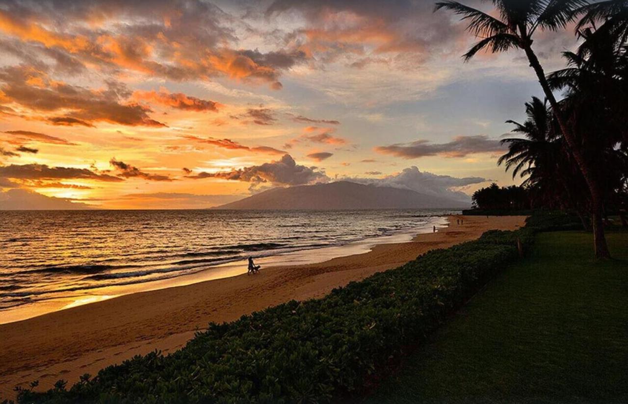 Appartamento Tropical Maui Kamaole B-Bldg Wailea  Esterno foto